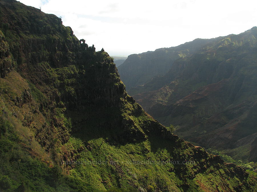 Waimea Canyon [Canyon Trail, Koke'e State Park, Kaua'i, Hawaii]