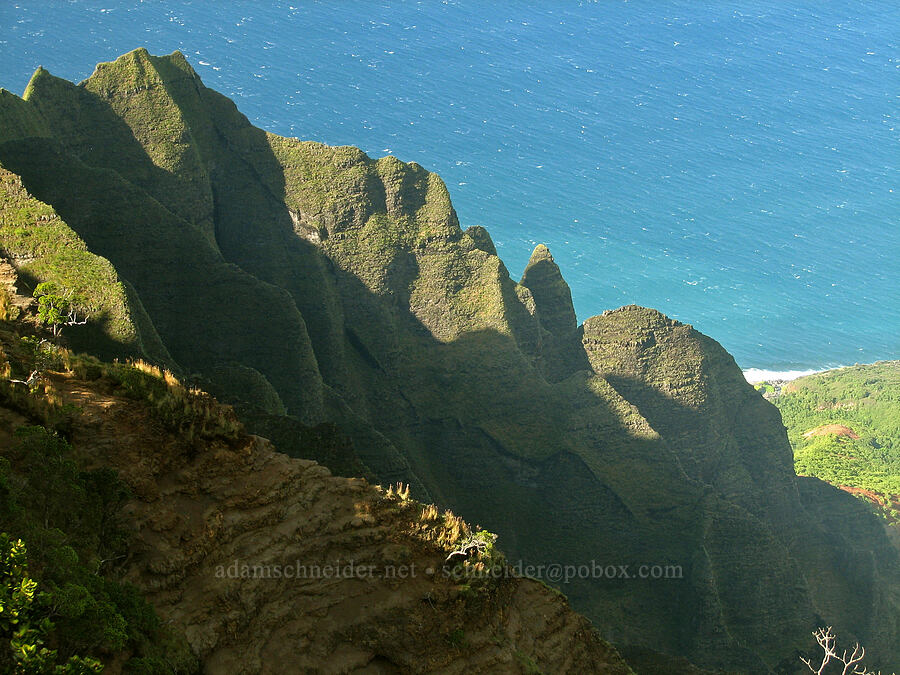 Kalalau Valley [Kalalau Lookout, Koke'e State Park, Kaua'i, Hawaii]