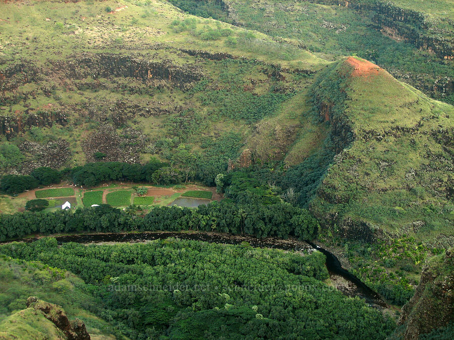 house on the Waimea River [Highway 550, Waimea Canyon, Kaua'i, Hawaii]