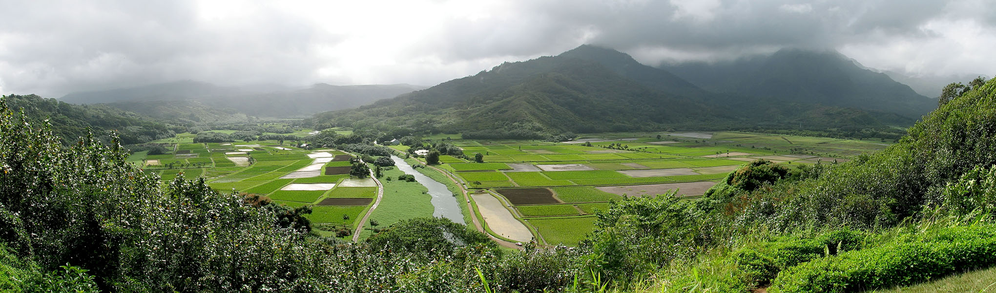 Hanalei Valley panorama [Hanalei Valley overlook, Princeville, Kaua'i, Hawaii]