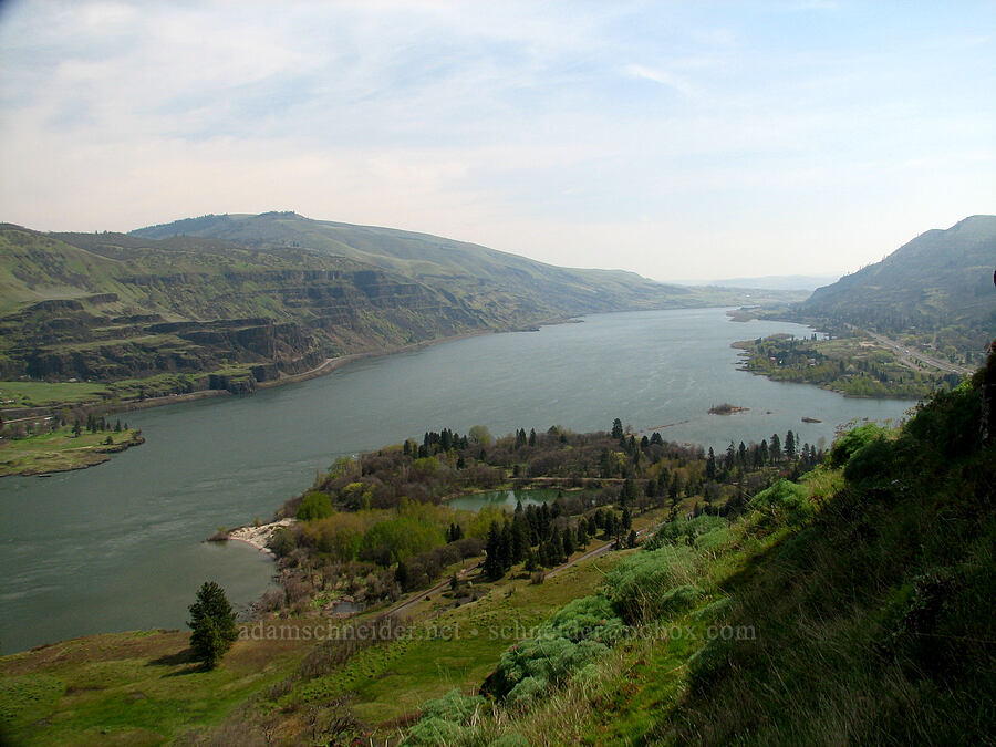 eastern Columbia River Gorge [Tom McCall Preserve, Rowena, Wasco County, Oregon]