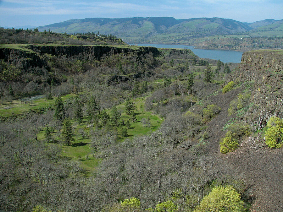 Rowena Dell [Tom McCall Preserve, Rowena, Wasco County, Oregon]