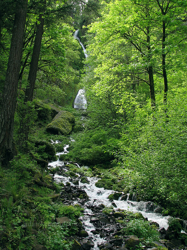 Wahkeena Falls [Old Gorge Highway, Multnomah County, Oregon]