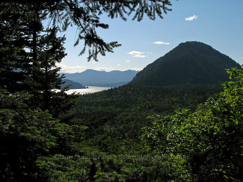 Wind Mountain [Augspurger Trail, Gifford Pinchot National Forest, Skamania County, Washington]