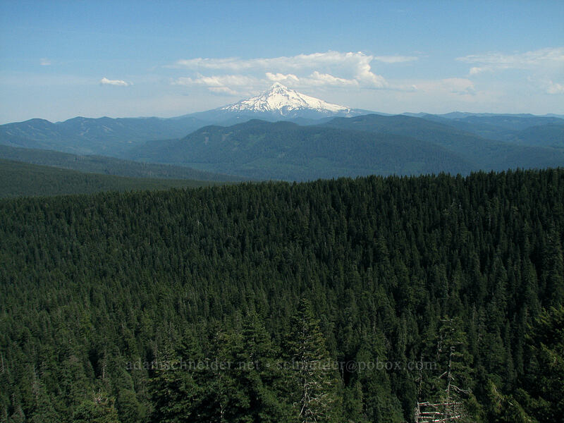 Mount Hood [Sherrard Point, Multnomah County, Oregon]