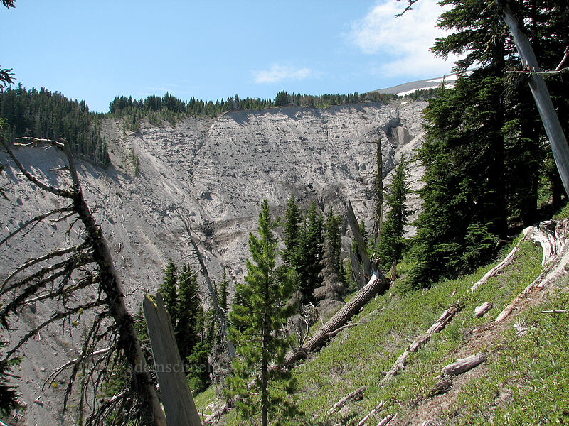 Polallie Canyon [Tilly Jane Trail, Mt. Hood Wilderness, Hood River County, Oregon]