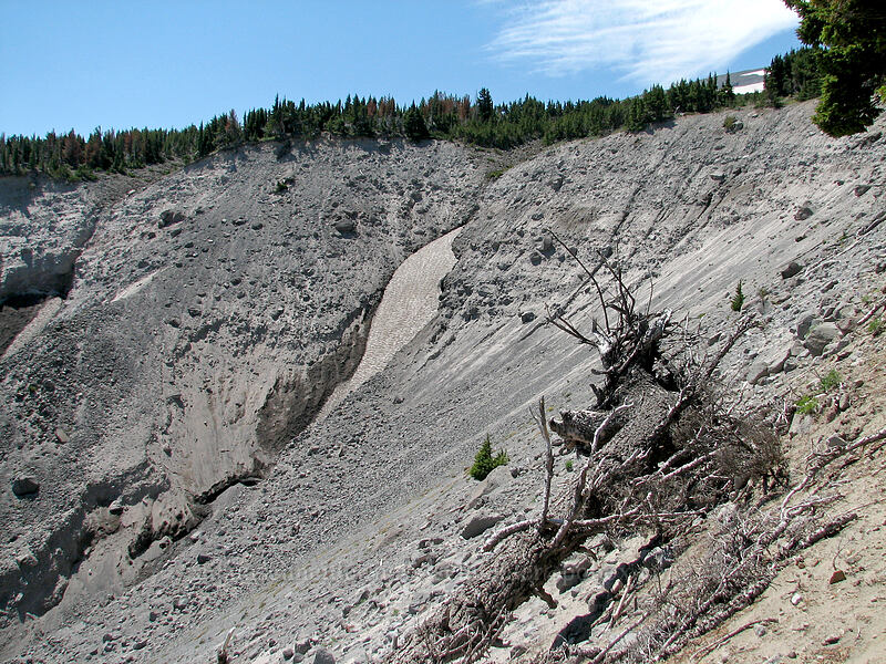 top of Polallie Canyon [Tilly Jane Trail, Mt. Hood Wilderness, Hood River County, Oregon]