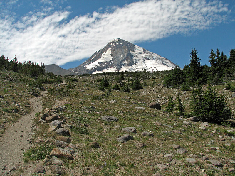 Mount Hood [Tilly Jane Trail, Mt. Hood Wilderness, Hood River County, Oregon]