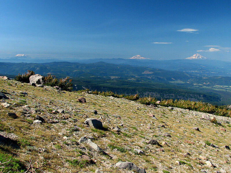three volcanoes [Cooper Spur, Mt. Hood Wilderness, Hood River County, Oregon]
