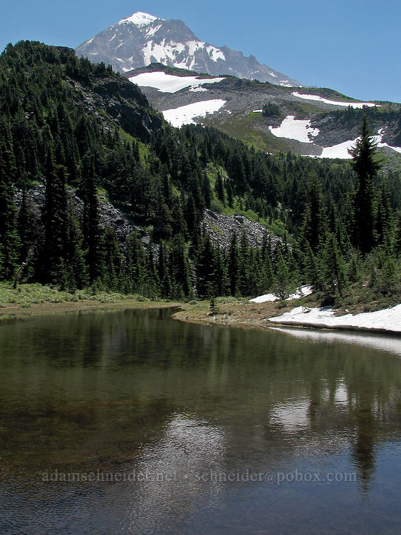 pond below McNeil Point [Timberline Trail, Mt. Hood Wilderness, Hood River County, Oregon]
