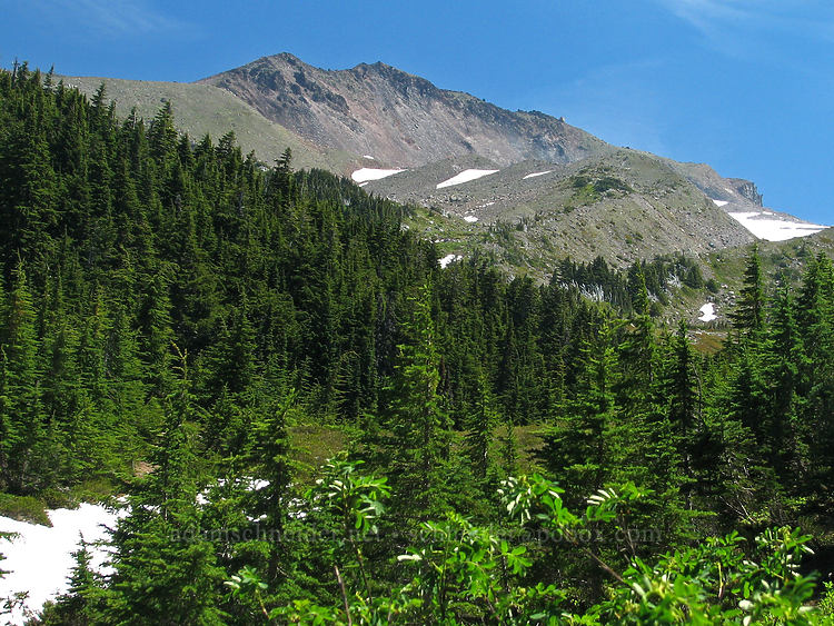 Barrett Spur [Timberline Trail, Mt. Hood Wilderness, Hood River County, Oregon]