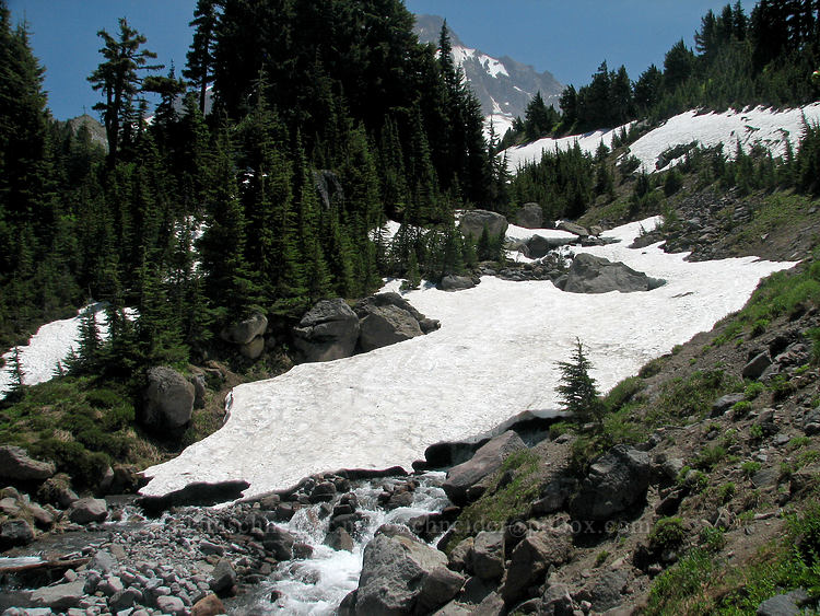 snow in Glisan Creek [Timberline Trail, Mt. Hood Wilderness, Hood River County, Oregon]