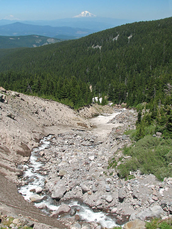 Ladd Creek & Mount Adams [above Cairn Basin, Mt. Hood Wilderness, Hood River County, Oregon]