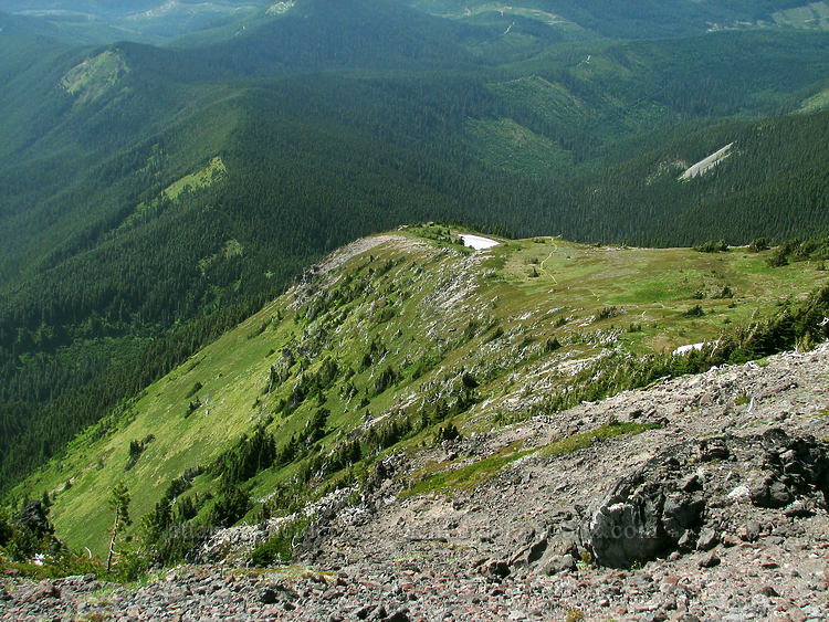 McNeil Point [above McNeil Point, Mt. Hood Wilderness, Clackamas County, Oregon]