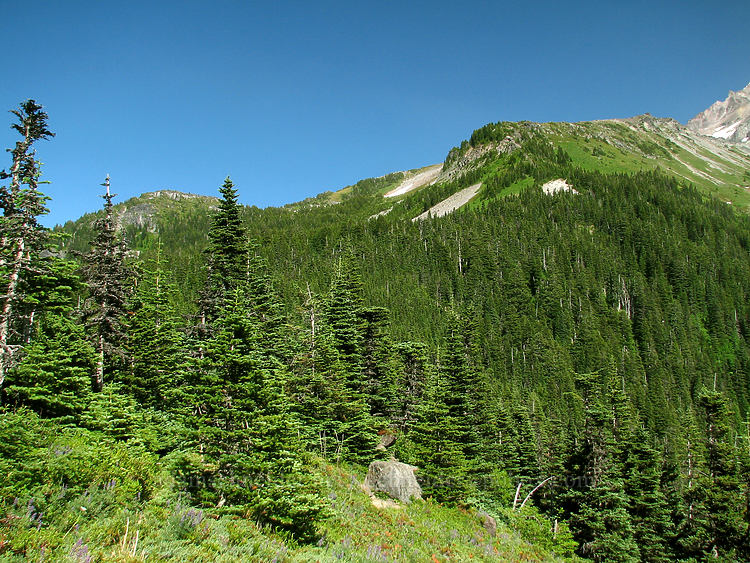 McNeil Point [Bald Mountain Ridge, Mt. Hood Wilderness, Hood River County, Oregon]