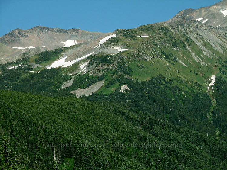 Barrett Spur & McNeil Point [Bald Mountain, Mt. Hood Wilderness, Clackamas County, Oregon]