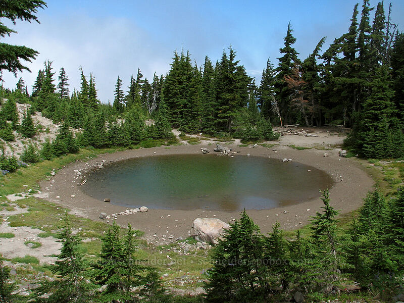 Dollar Lake [Dollar Lake, Mt. Hood Wilderness, Hood River County, Oregon]