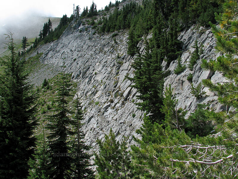 cliffs above Elk Cove [above Elk Cove, Mt. Hood Wilderness, Hood River County, Oregon]