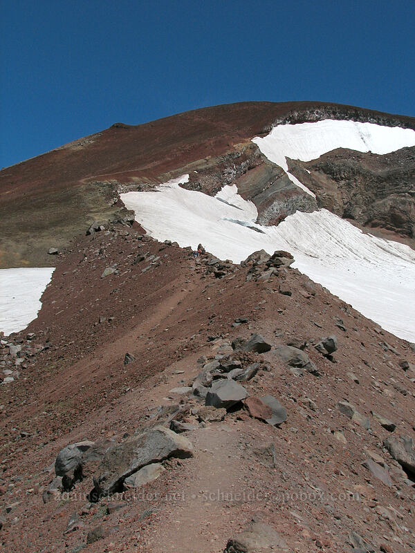 trail between Clark Glacier & Lewis Glacier [South Sister Trail, Three Sisters Wilderness, Deschutes County, Oregon]