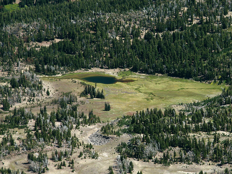 Golden Lake [South Sister summit, Three Sisters Wilderness, Deschutes County, Oregon]