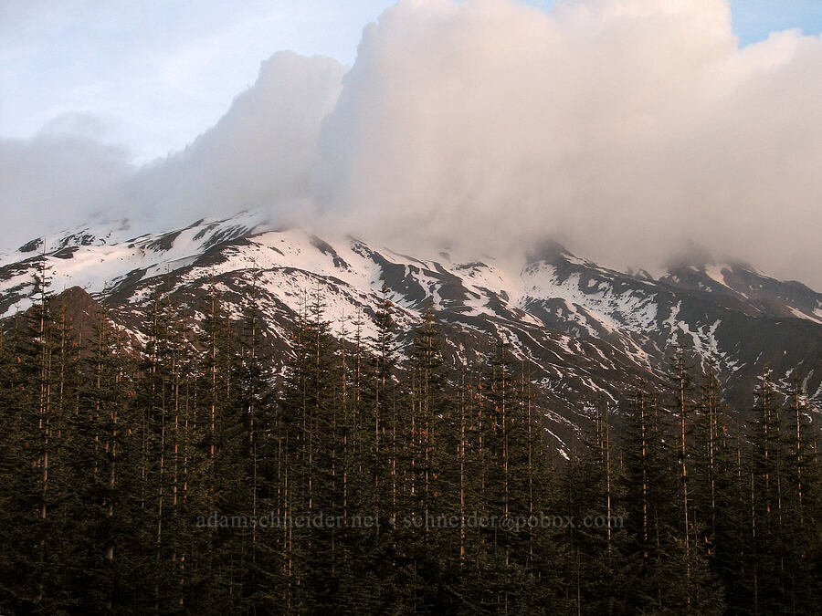 Mount St. Helens at sunrise [Climber's Bivouac, Mt. St. Helens National Volcanic Monument, Skamania County, Washington]