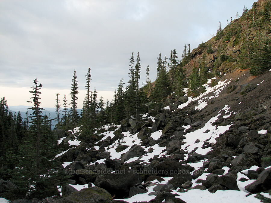 bottom of the Swift Creek Lava Flow [Ptarmigan Trail, Mt. St. Helens National Volcanic Monument, Skamania County, Washington]