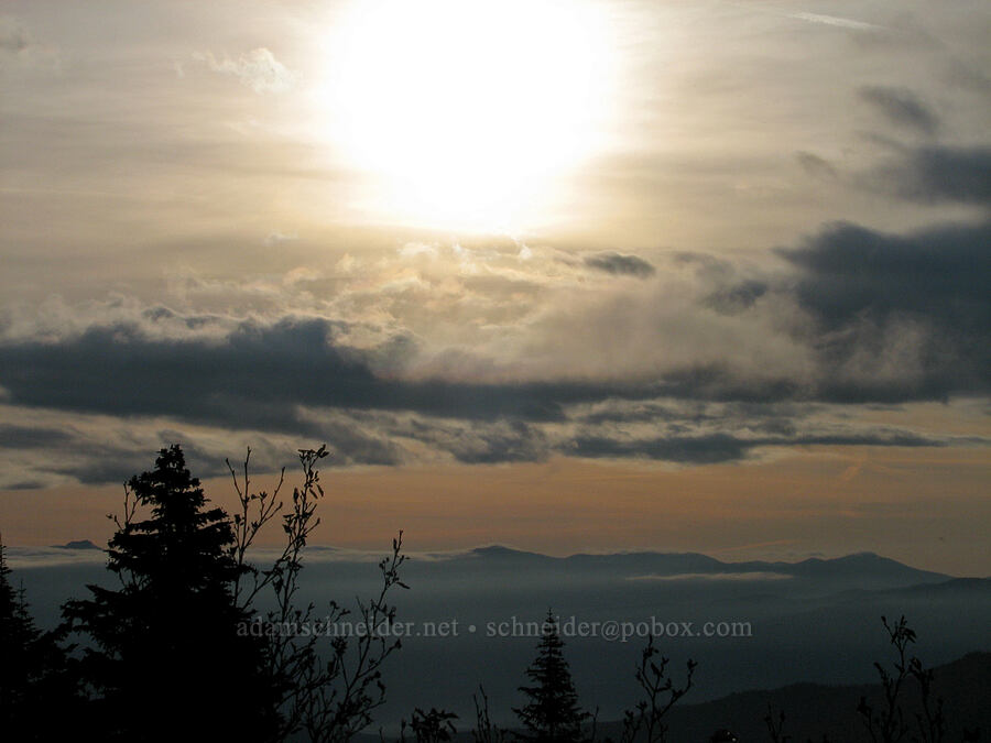 view to the southeast [Ptarmigan Trail, Mt. St. Helens National Volcanic Monument, Skamania County, Washington]