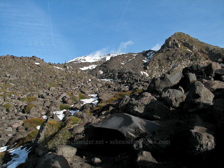 looking up Monitor Ridge toward the summit [Monitor Ridge, Mt. St. Helens National Volcanic Monument, Skamania County, Washington]