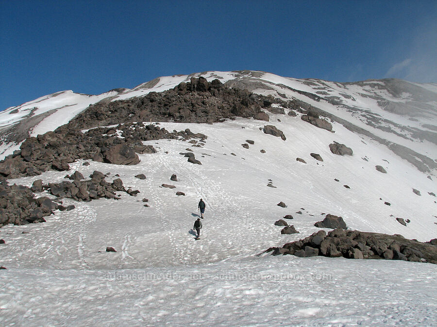 the top of Monitor Ridge [Monitor Ridge, Mt. St. Helens National Volcanic Monument, Skamania County, Washington]
