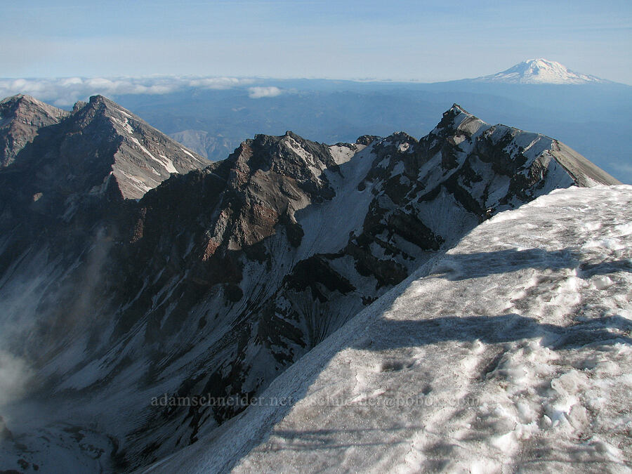 crater rim & Mount Adams [Mt. St. Helens crater rim, Mt. St. Helens National Volcanic Monument, Skamania County, Washington]