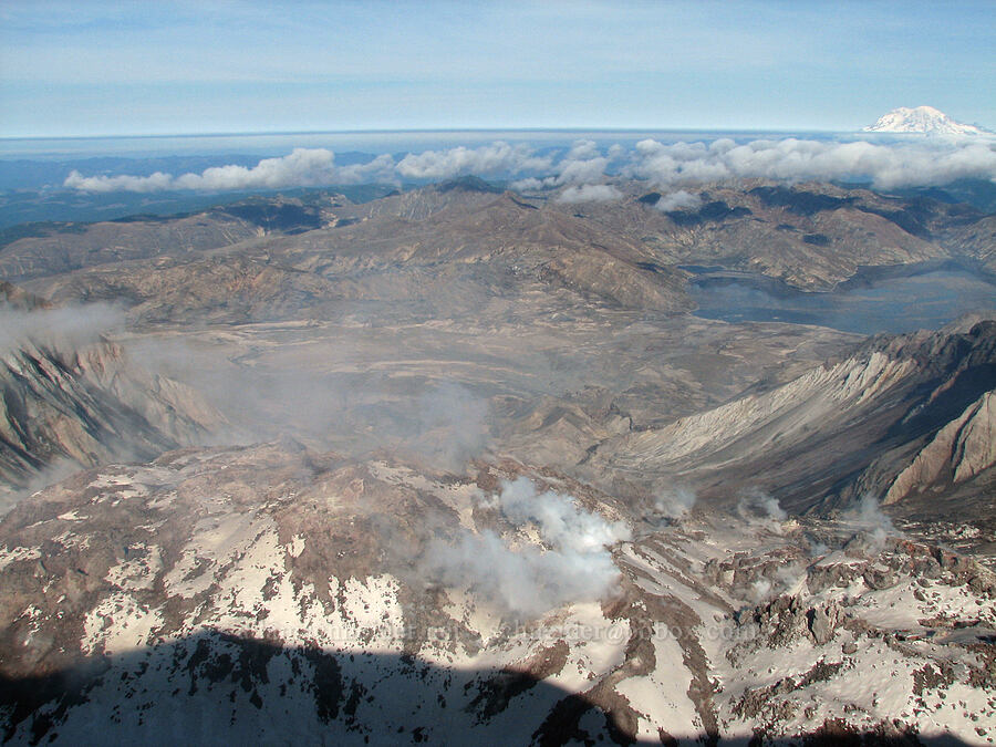 the blast zone [Mt. St. Helens crater rim, Mt. St. Helens National Volcanic Monument, Skamania County, Washington]