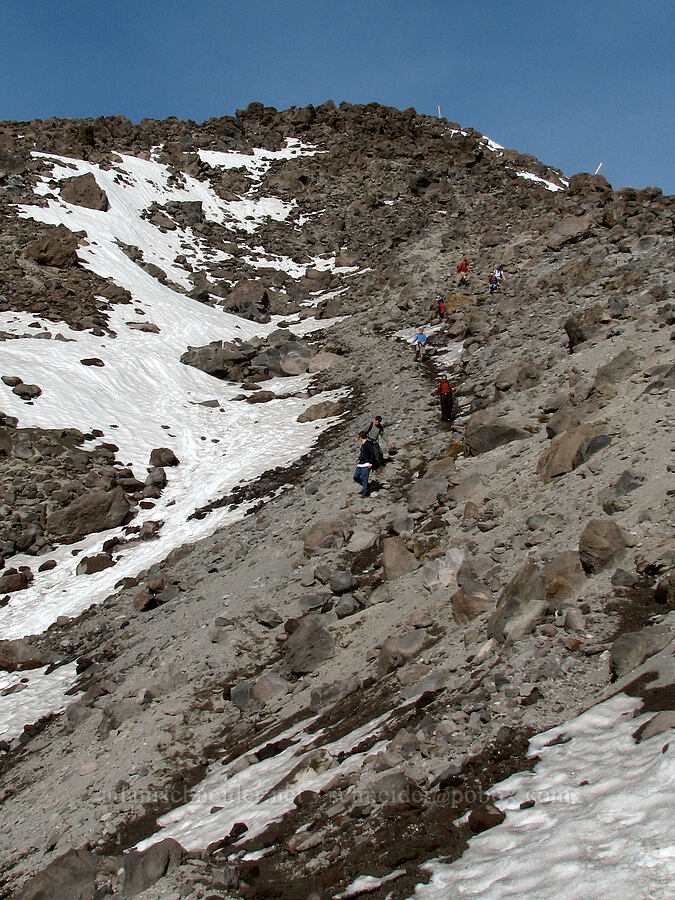 looking back up the ridge [Monitor Ridge, Mt. St. Helens National Volcanic Monument, Skamania County, Washington]