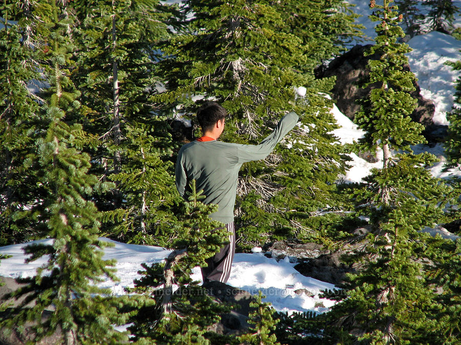 snowball fight! [Monitor Ridge Trail, Mt. St. Helens National Volcanic Monument, Skamania County, Washington]