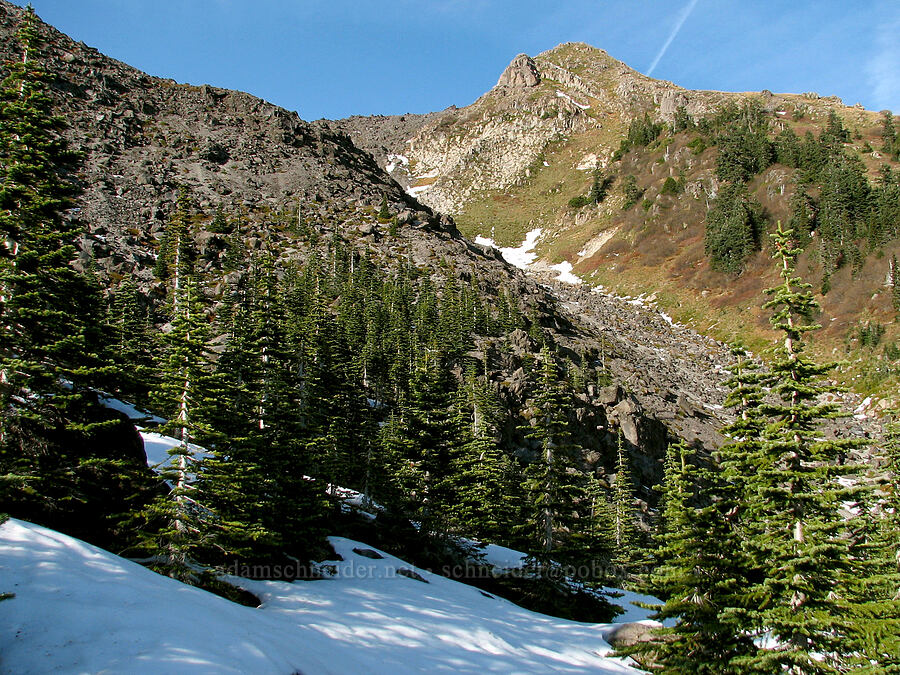 Monitor Ridge from below [Monitor Ridge Trail, Mt. St. Helens National Volcanic Monument, Skamania County, Washington]