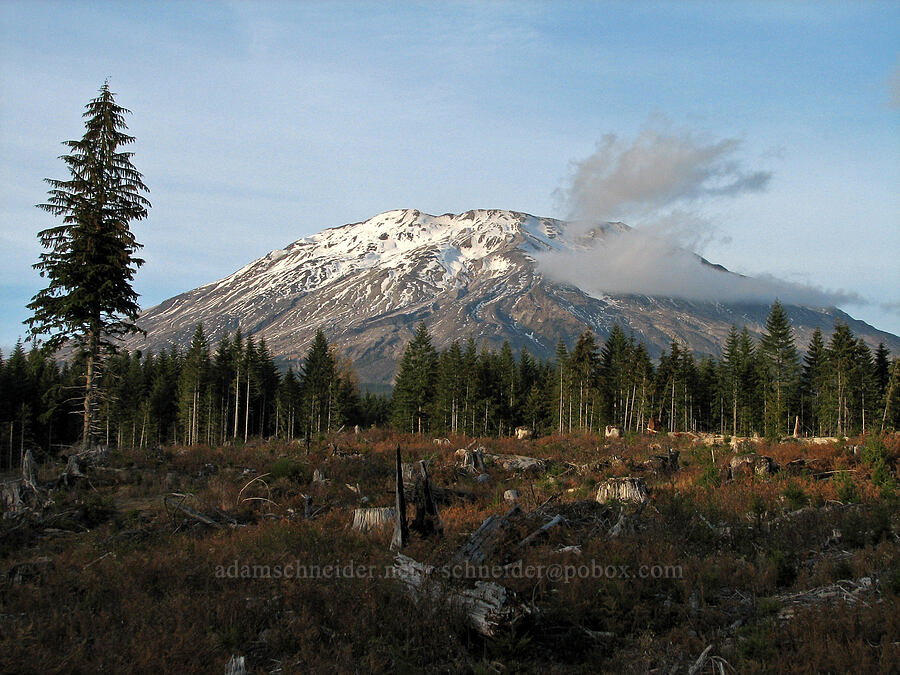Mount St. Helens [Forest Road 83, Skamania County, Washington]