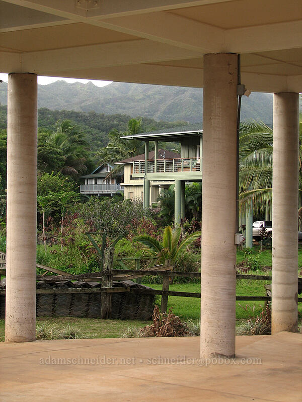 tsunami-proof houses [Moloa'a Bay, Anahola, Kaua'i, Hawaii]