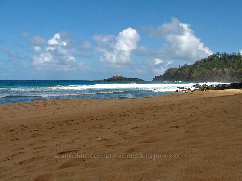 Kilauea Point [Kauapea Beach, Kilauea, Kaua'i, Hawaii]