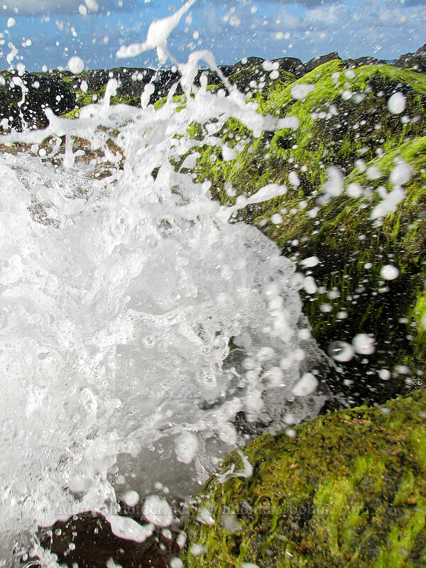 splash [Kauapea Beach, Kilauea, Kaua'i, Hawaii]