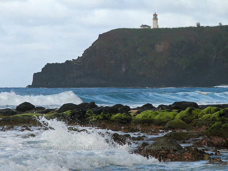 Kilauea Point [Kauapea Beach, Kilauea, Kaua'i, Hawaii]