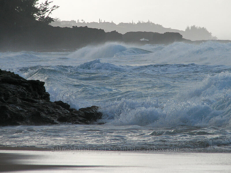 big waves [Kauapea Beach, Kilauea, Kaua'i, Hawaii]