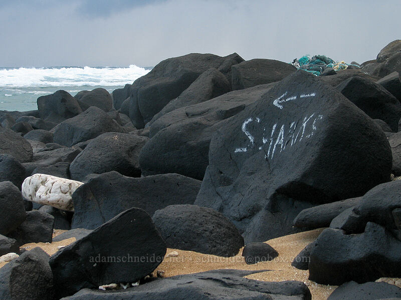 Sharks! [Larsen's Beach, Kilauea, Kaua'i, Hawaii]