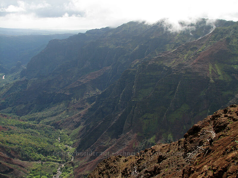 Waimea Canyon [Pu'u Hinahina Lookout, Kaua'i, Hawaii]
