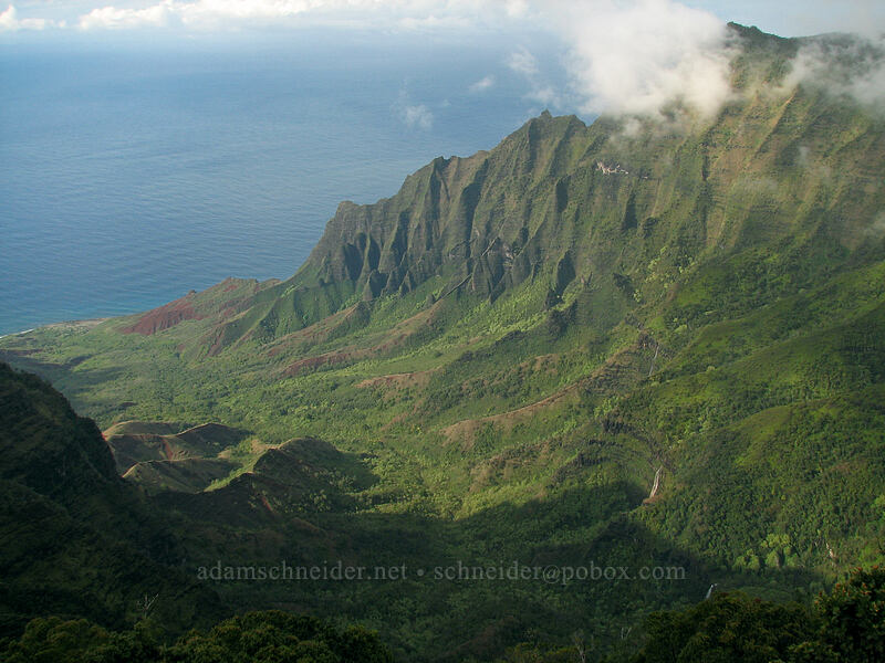 Kalalau Valley [Pu'u o Kila Lookout, Koke'e State Park, Kaua'i, Hawaii]
