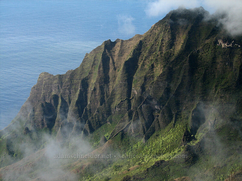 Kalalau Valley [Pu'u o Kila Lookout, Koke'e State Park, Kaua'i, Hawaii]