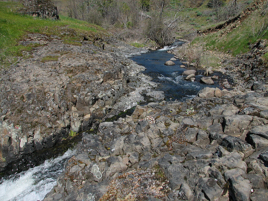 Catherine Creek [Catherine Creek, Gifford Pinchot National Forest, Klickitat County, Washington]