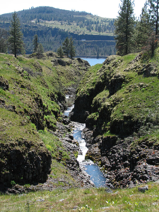 Catherine Creek [Catherine Creek, Gifford Pinchot National Forest, Klickitat County, Washington]