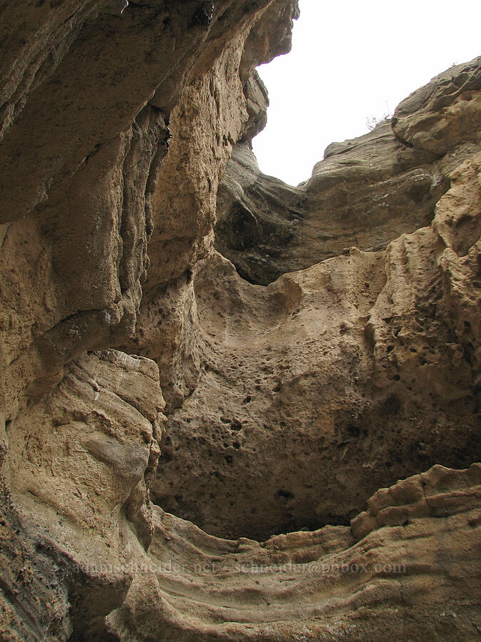 Whychus Creek Canyon [Alder Springs Trail, Jefferson County, Oregon]