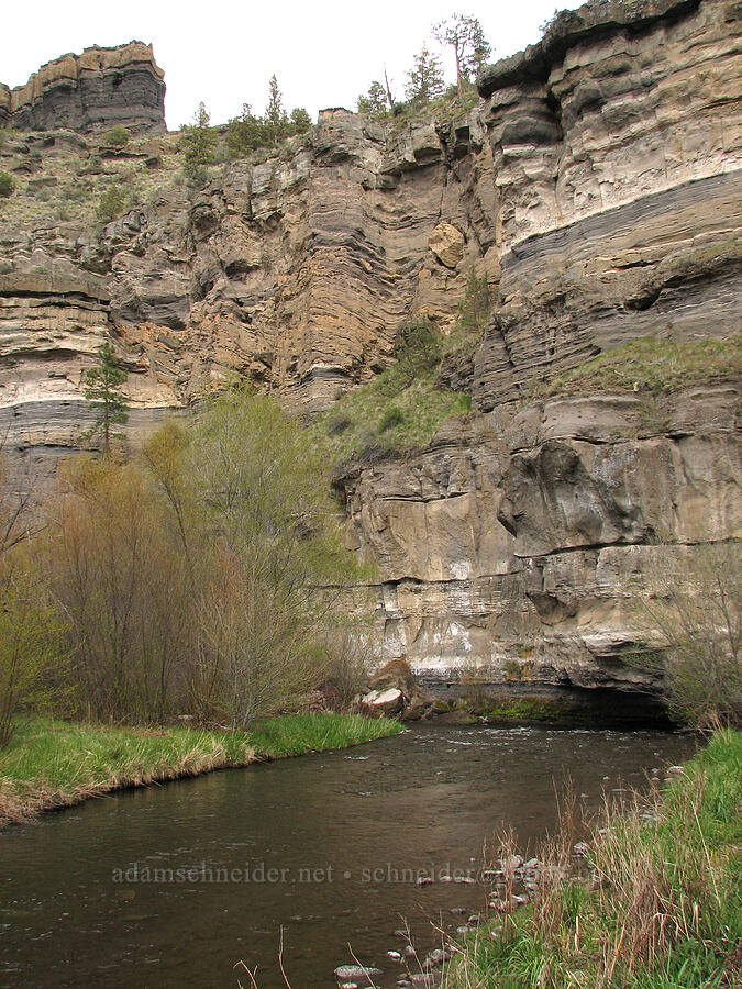 Whychus Creek [Alder Springs, Jefferson County, Oregon]