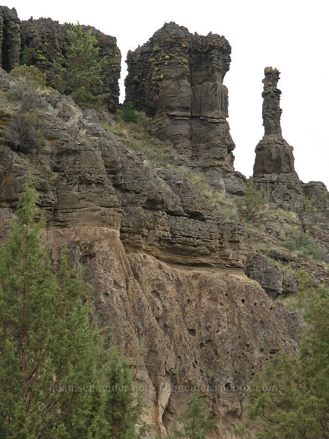 Whychus Creek Canyon [Alder Springs, Jefferson County, Oregon]