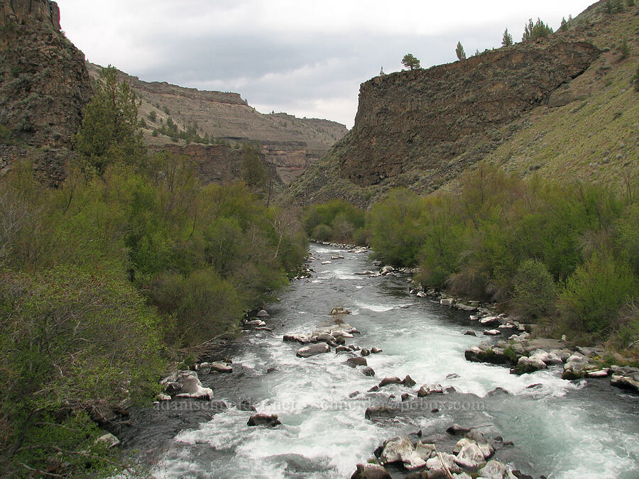 Deschutes River [Alder Springs Trail, Jefferson County, Oregon]